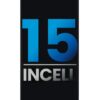 iPhone 15 Premium LCD Screen - Incell FHD
